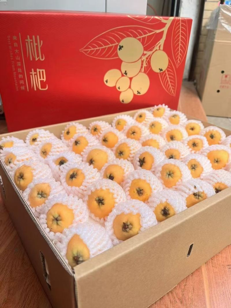 米易枇杷(正宗产地发货)，代收，代发