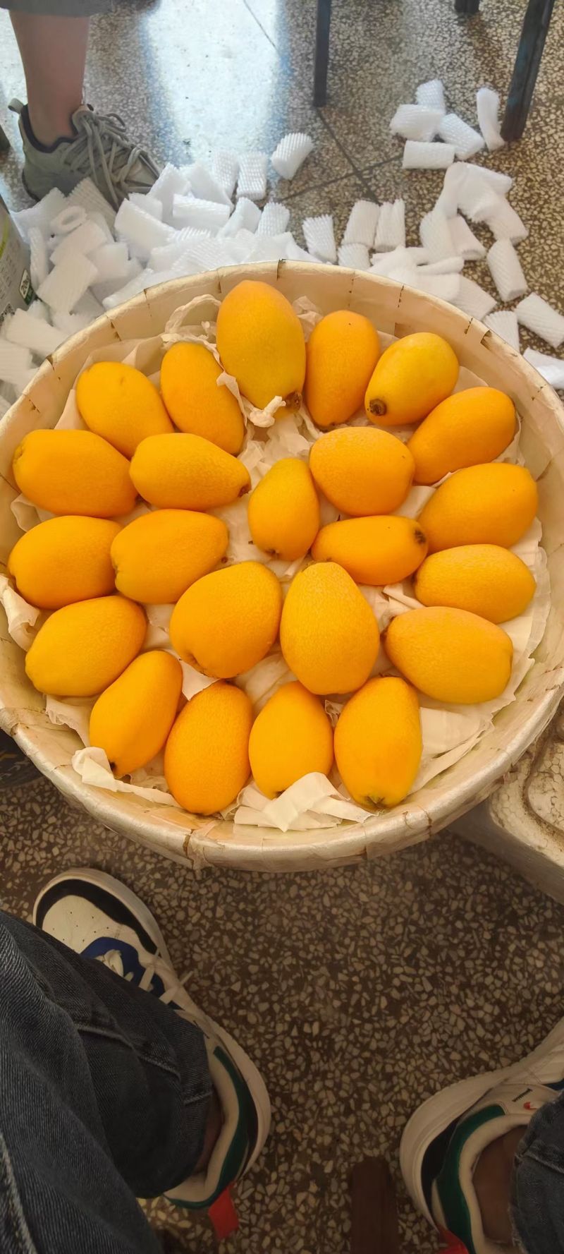 米易枇杷(正宗产地发货)，代收，代发