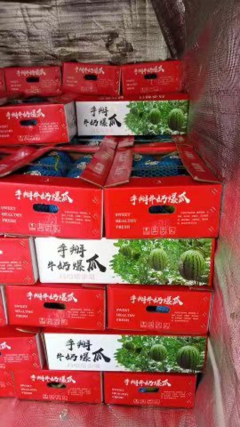 山东省潍坊市寒亭区固堤街道全美2k小糖丸礼品小西瓜上市了