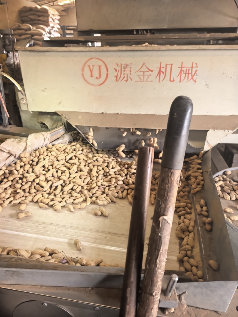 花生带壳花生河北产地直发/价格便宜欢迎来电合作