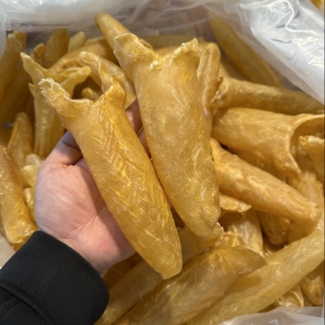 鱼胶花胶黄花胶高品质有添加足干靓花胶