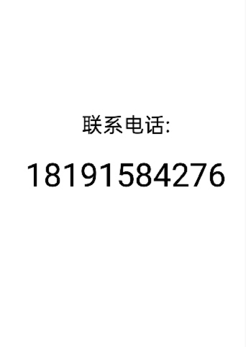 兔崽，和成年兔