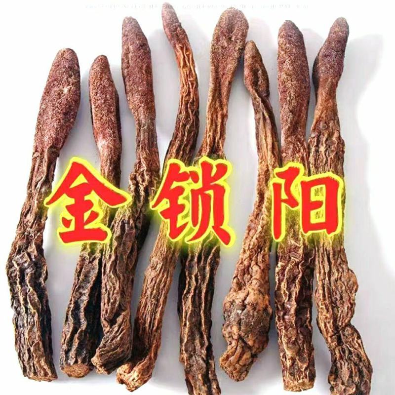 阿拉善野生金锁阳沙漠人参野性猛烈男人泡酒滋补珍品