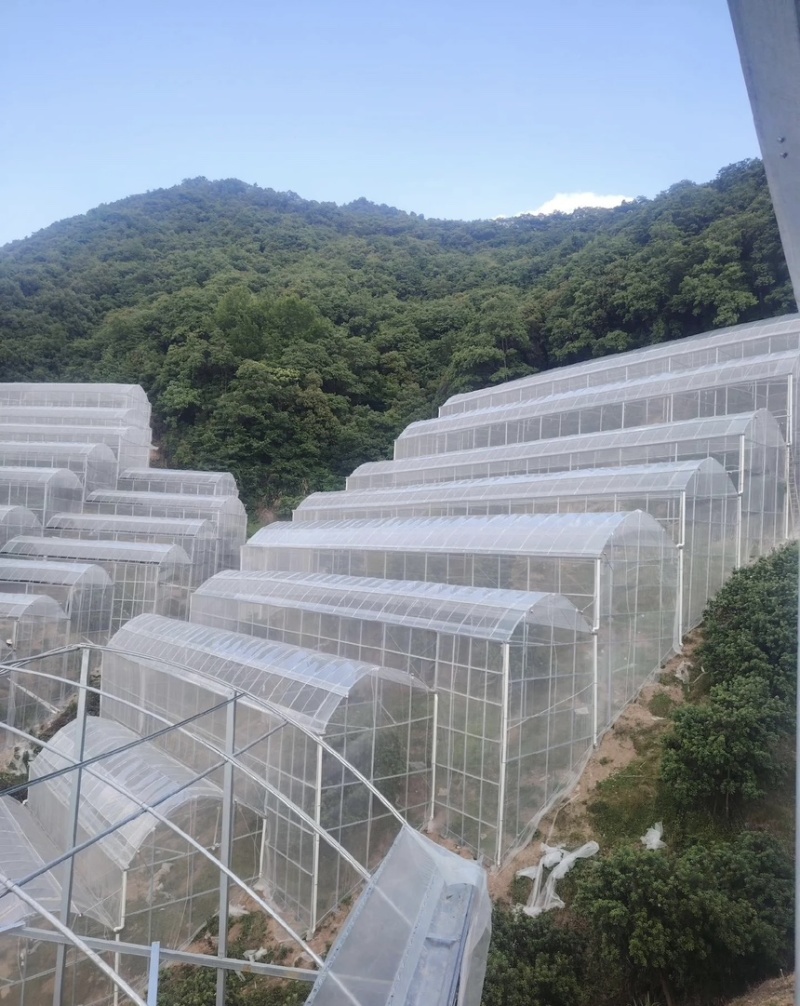 温室大棚材料，配件，设施，厂家直销支持定制