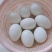 正宗农村散养土鸡蛋