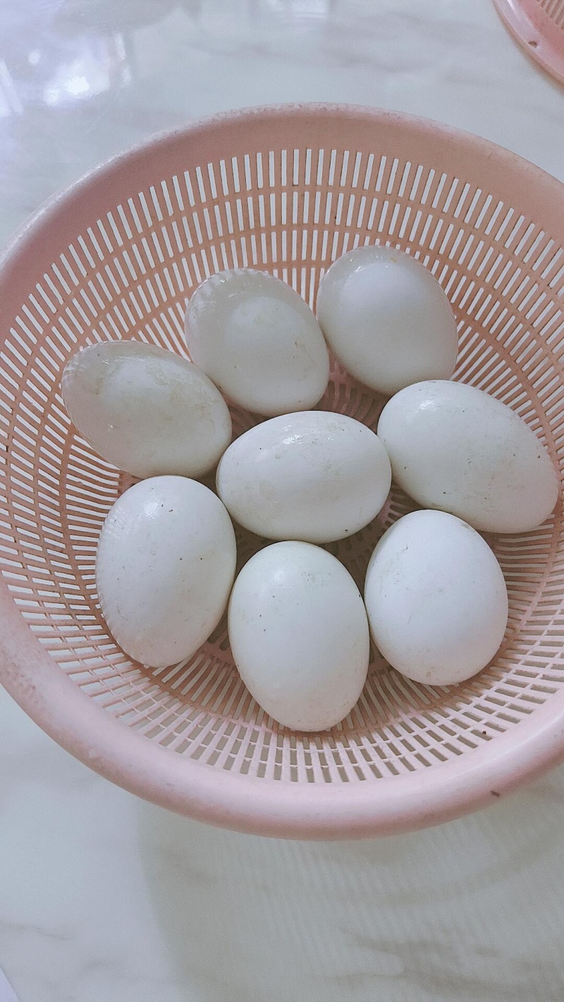 正宗农村散养土鸡蛋
