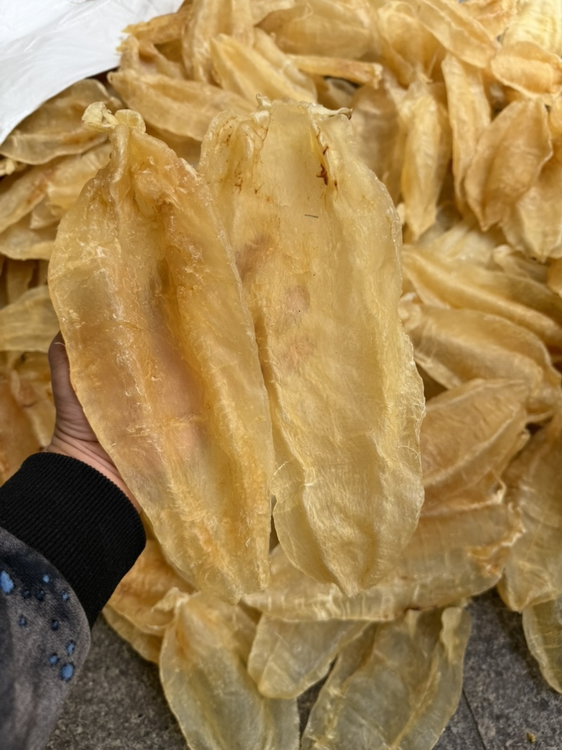 足干老苏母北海母北海公巴西母南美北海公