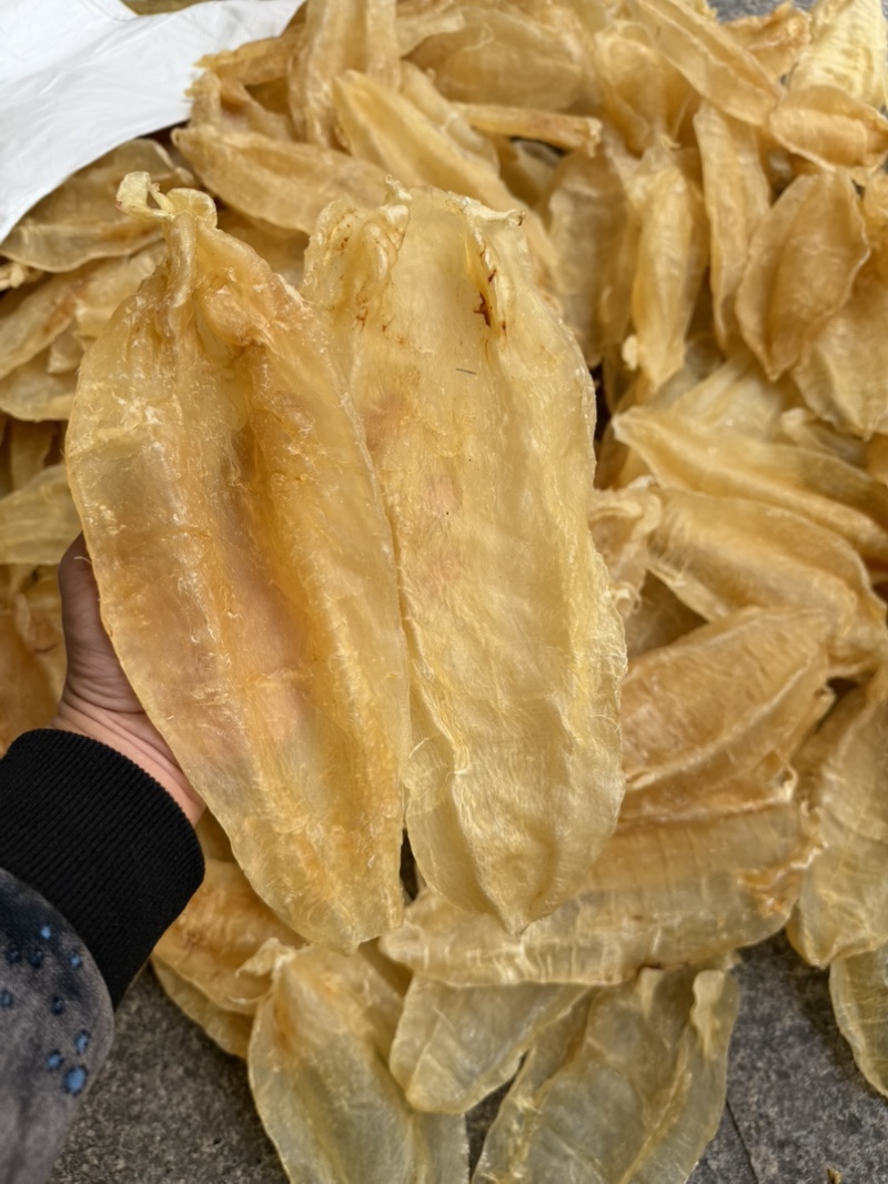 足干老苏母北海母北海公巴西母南美北海公