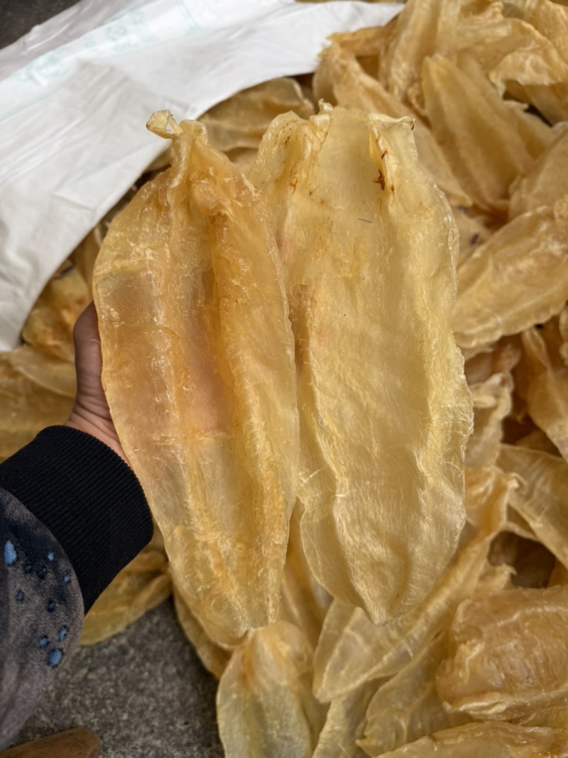 足干老苏母北海母北海公巴西母南美北海公
