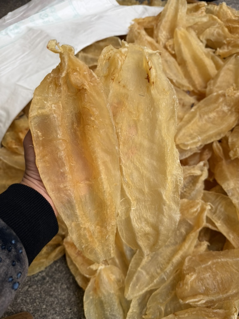 足干老苏母北海母北海公巴西母南美北海公