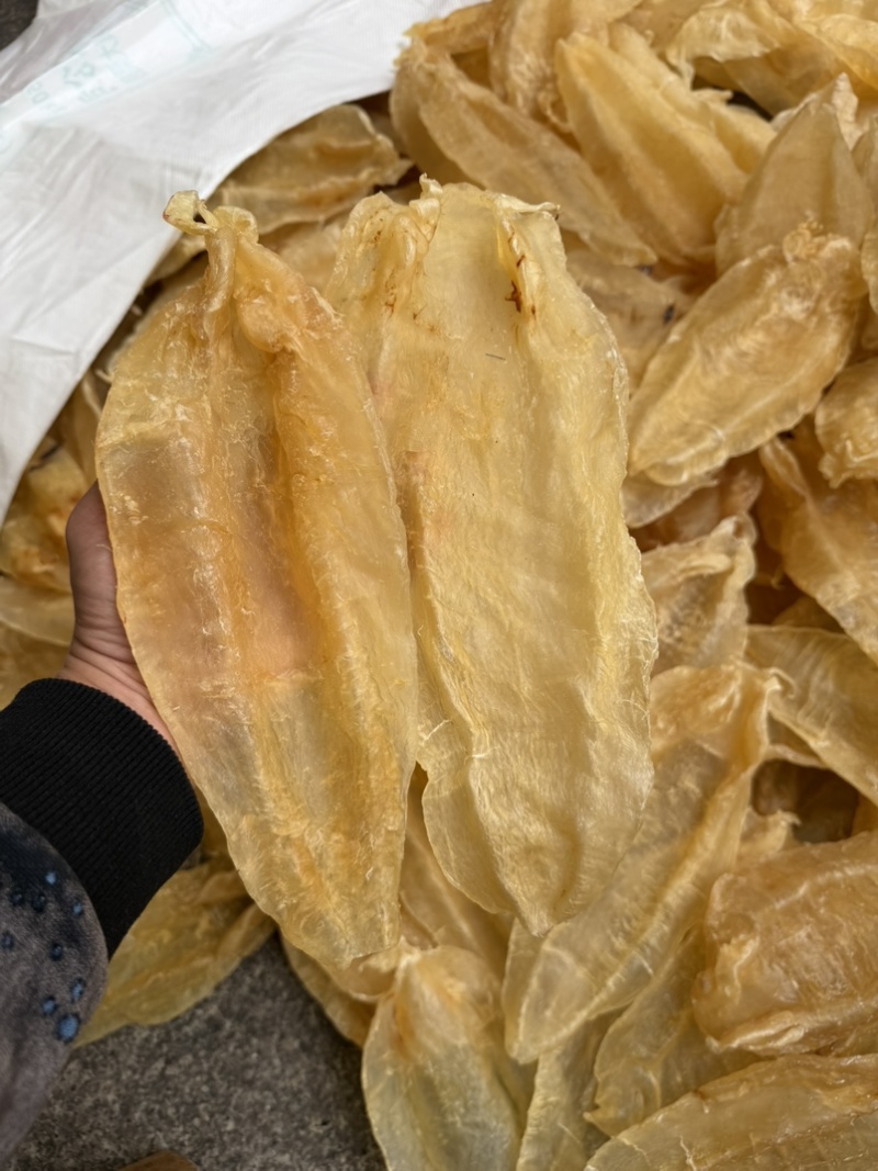 足干老苏母北海母北海公巴西母南美北海公