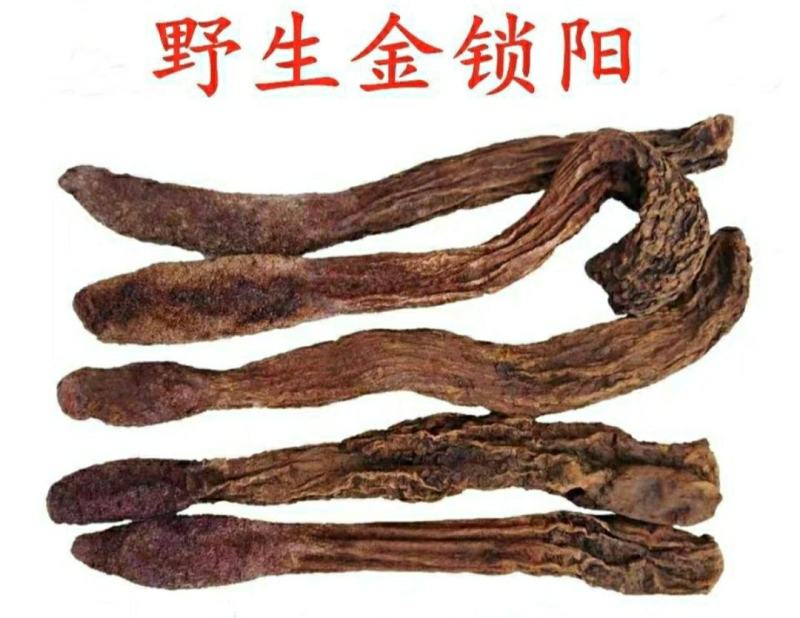金锁阳阿拉善野生金锁阳男人养生珍品泡酒泡茶炖汤包邮