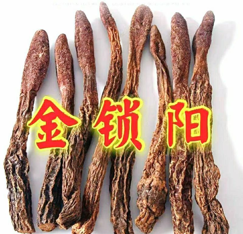 金锁阳阿拉善野生金锁阳男人养生珍品泡酒泡茶炖汤包邮
