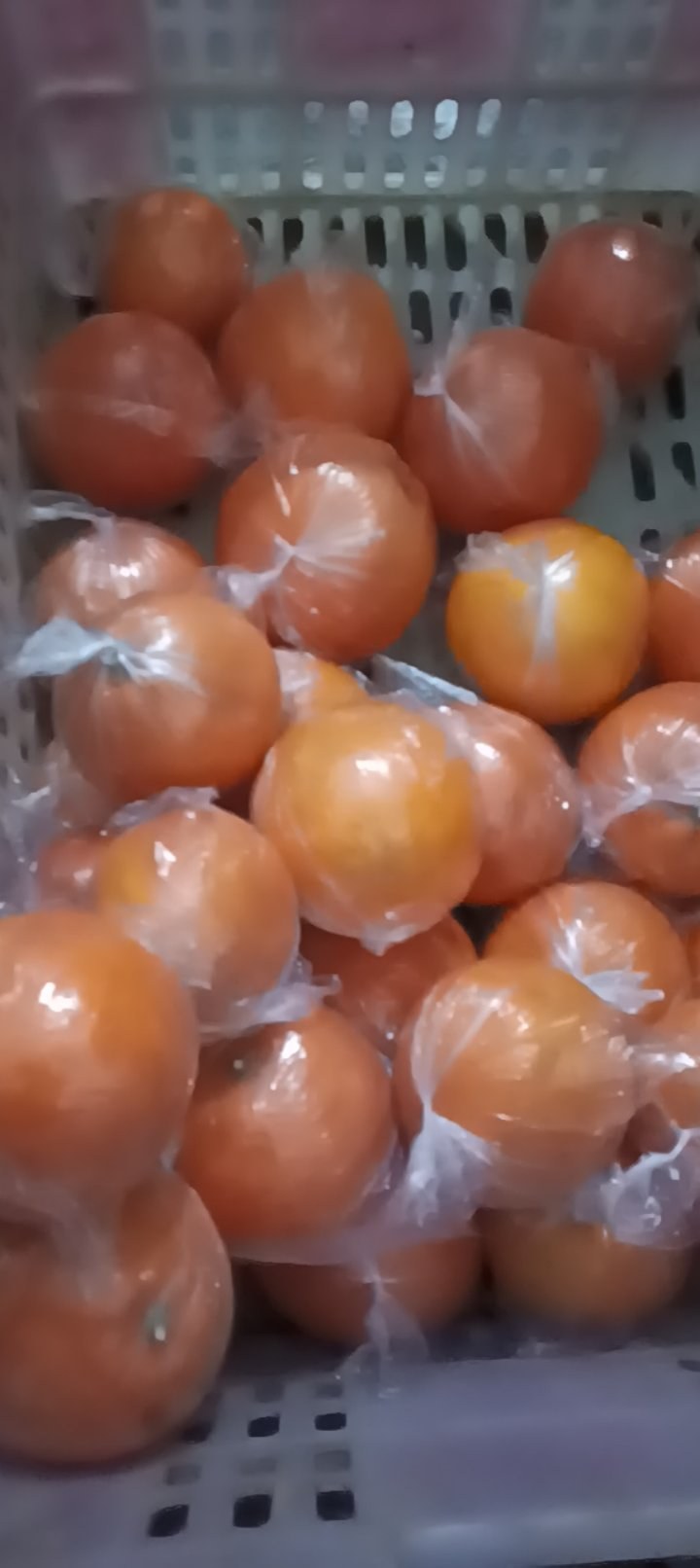 资中23号塔罗科血橙