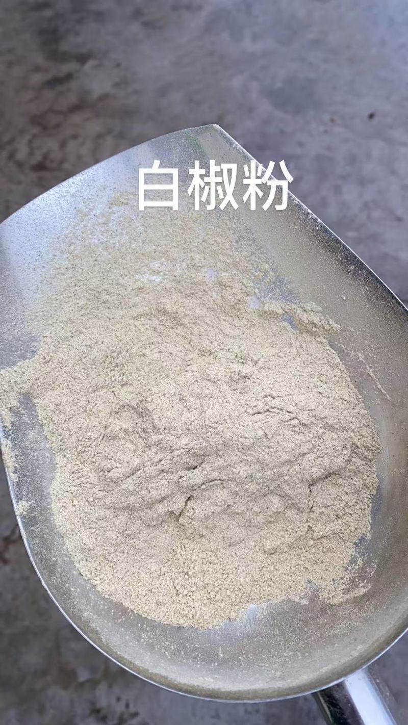 白胡椒粉，多种规格，多种质量