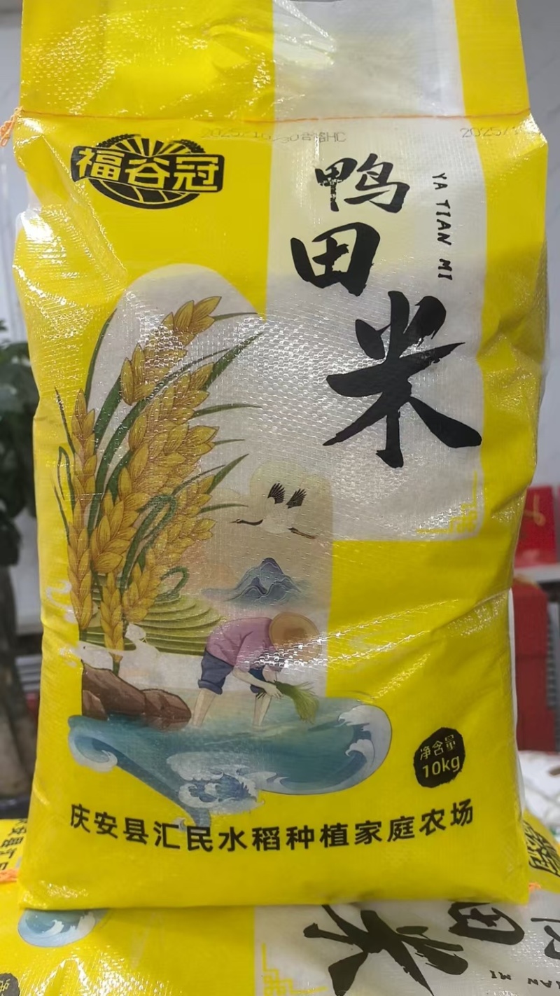 黑龙江稻香米鸭田米大量供应品质保证诚信经营