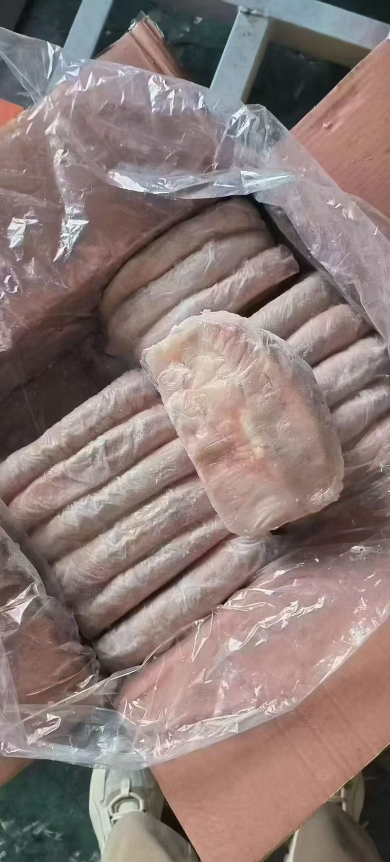 单冻猪肚