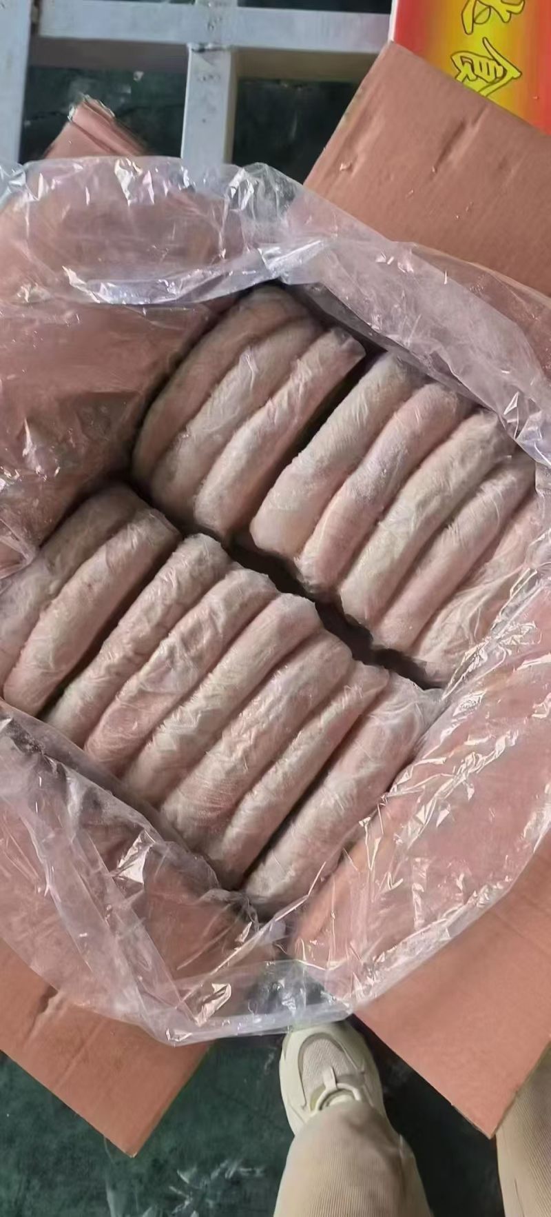 单冻猪肚