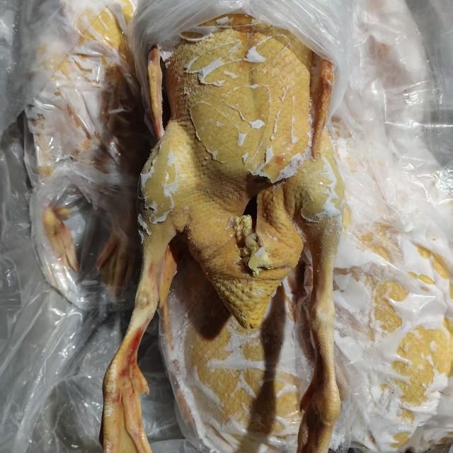 现宰18公斤5-6只番鸭肉黄皮黄油全鸭