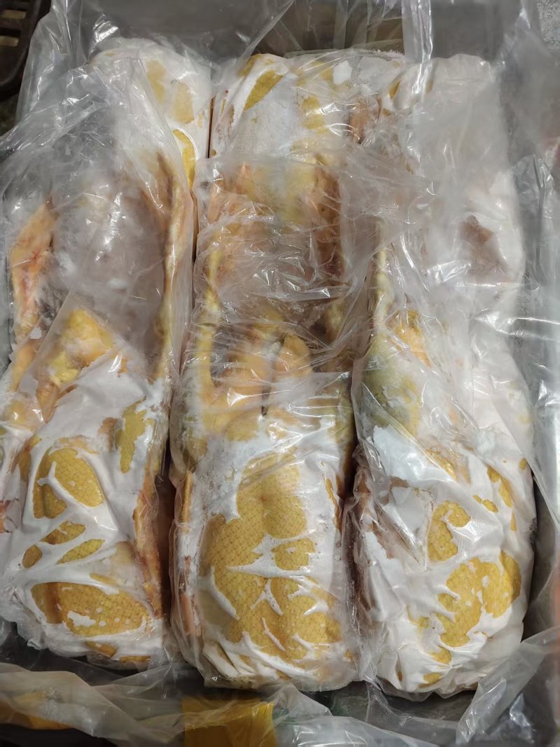 现宰18公斤5-6只番鸭肉黄皮黄油全鸭