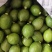 无籽广东香水柠檬