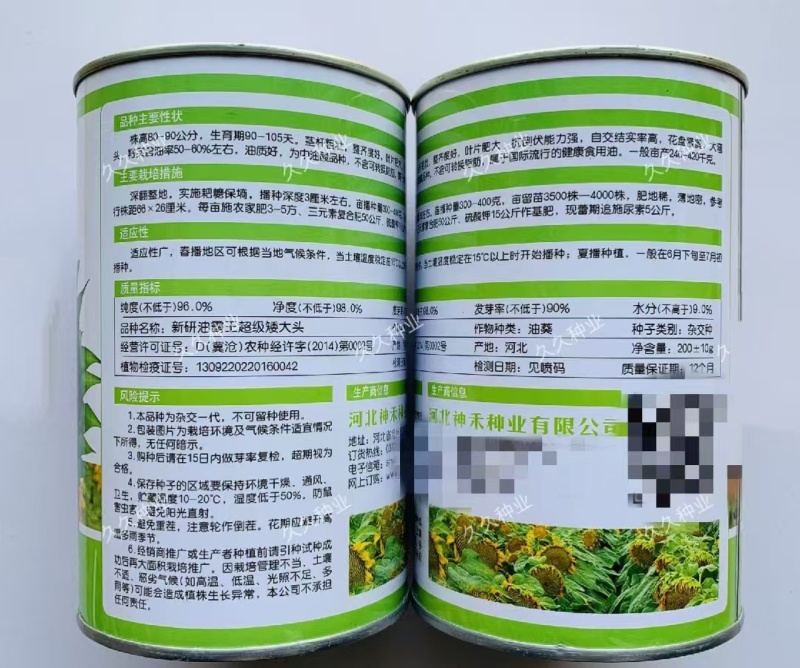 新研油霸王高油高产油葵种子矮杆大头向日葵种籽抗风防鸟害葵