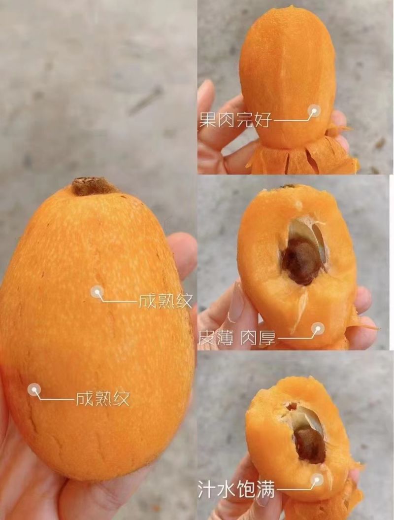 米易枇杷