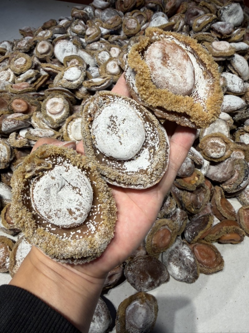 南非足干溏心鲍干鲍尘香鲍靓鲍满满溏心