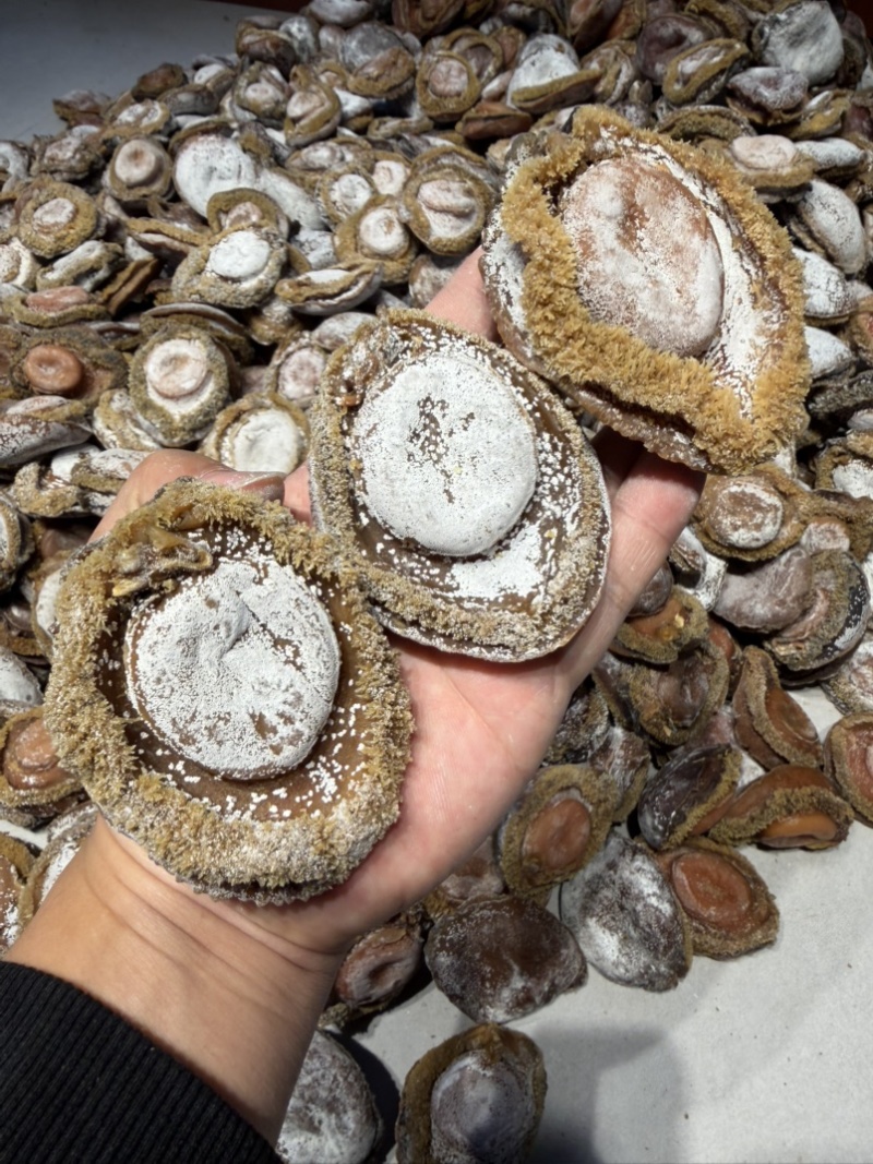 南非足干溏心鲍干鲍尘香鲍靓鲍满满溏心