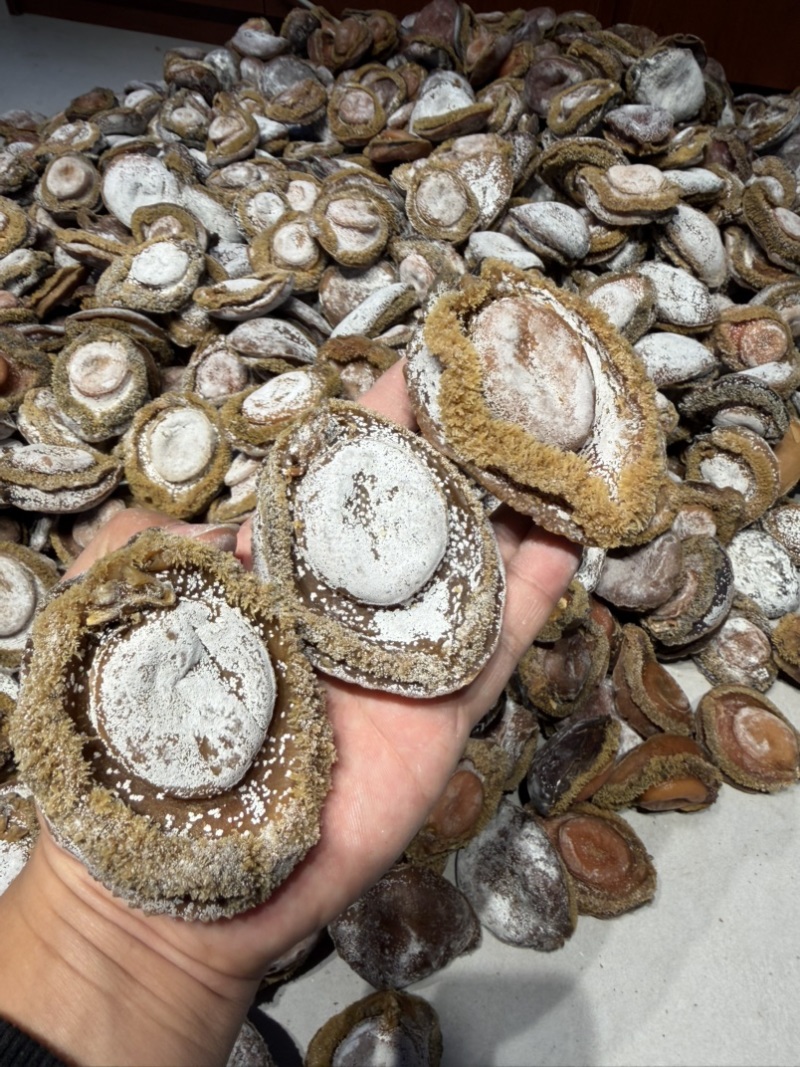 南非足干溏心鲍干鲍尘香鲍靓鲍满满溏心