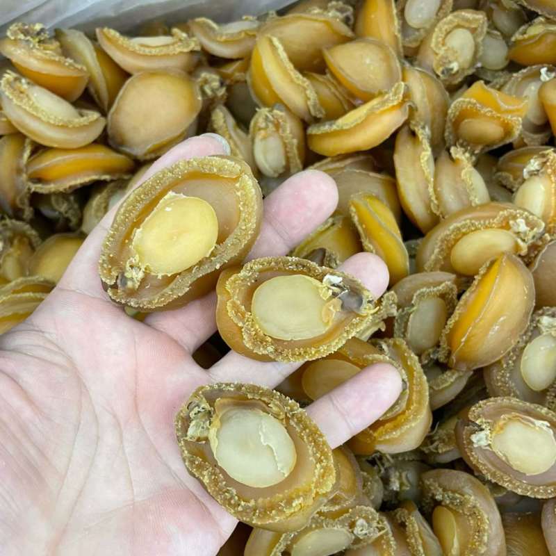 大连鲍大连**鲍靓鲍酒店会所宴席专用鲍鱼