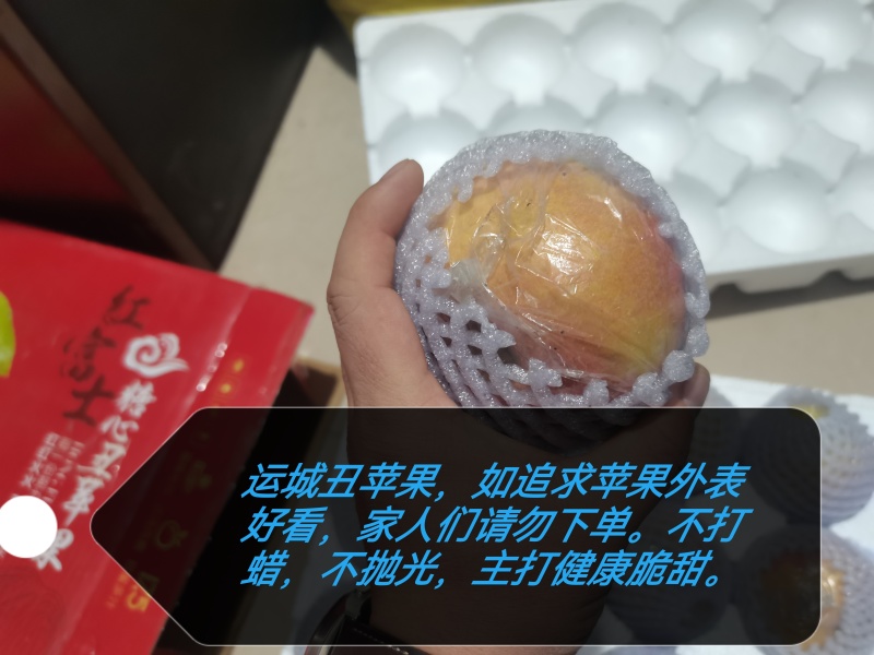 运城膜袋苹果