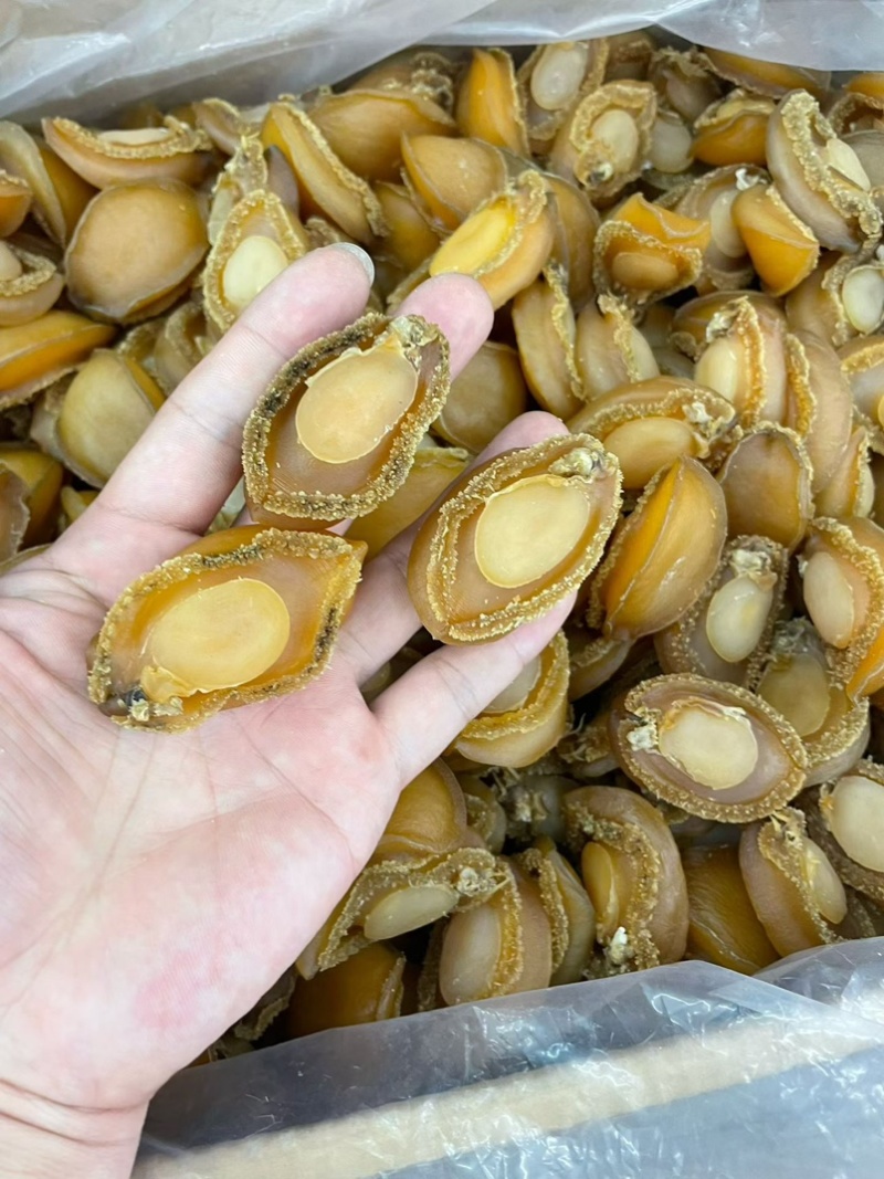 大连鲍大连**鲍靓鲍酒店会所宴席专用鲍鱼