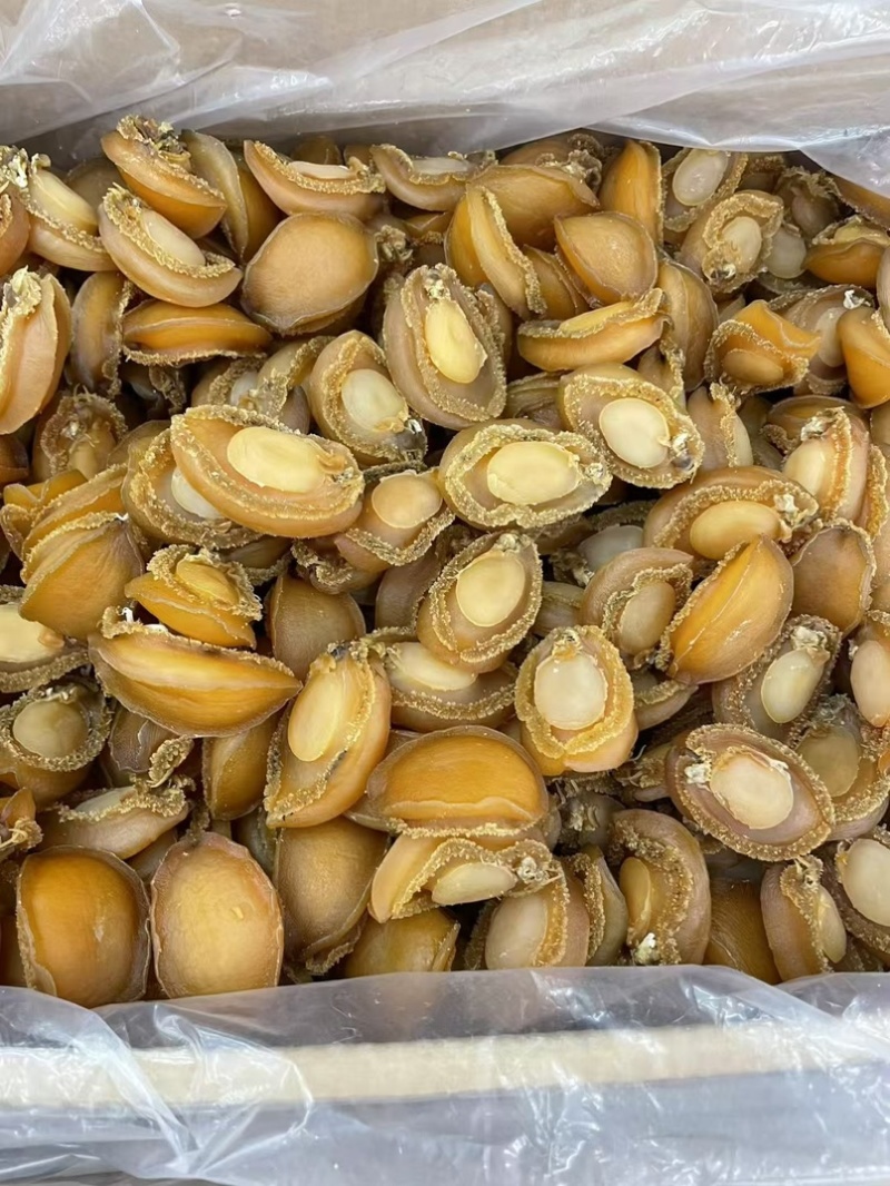 大连鲍大连**鲍靓鲍酒店会所宴席专用鲍鱼