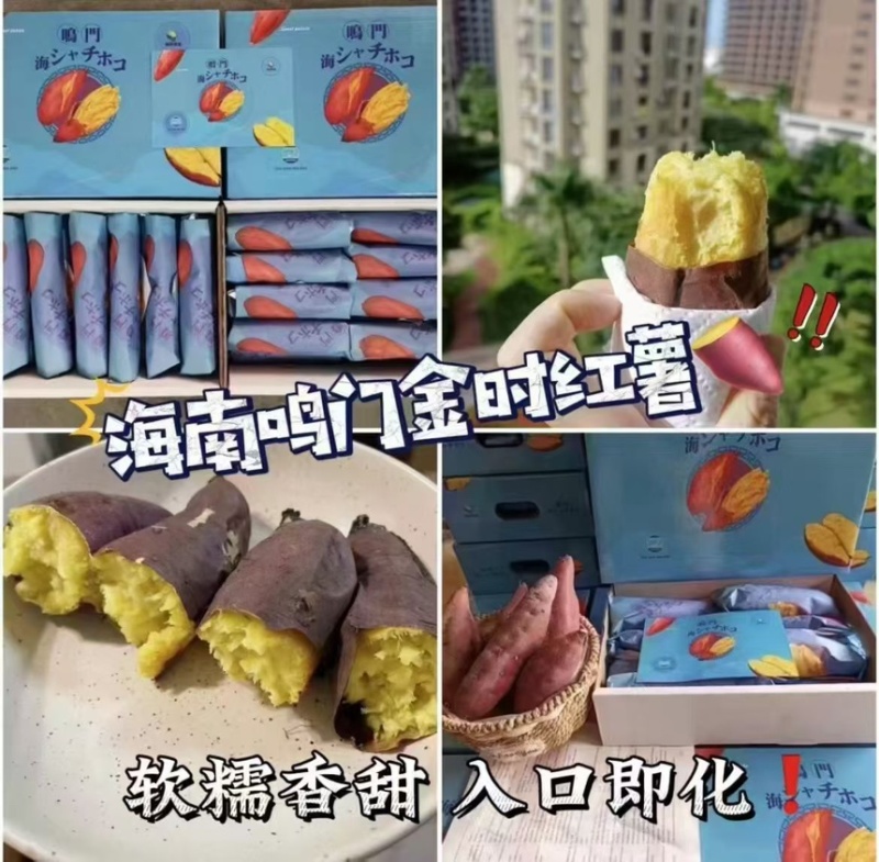 海南桥头地瓜，鸣门金时，精品果支持一件代发顺丰