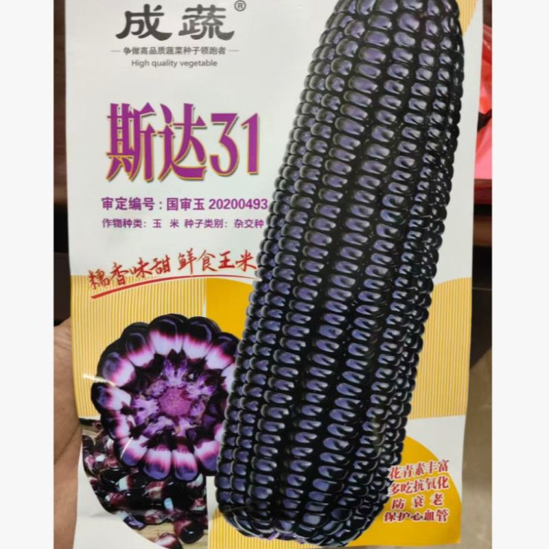 【香糯】珍黑糯六号非转基因甜玉米种子棒子大黑穗黑轴甜度高