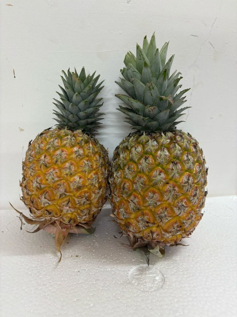 海南芒果凤梨，支持一件代发顺丰