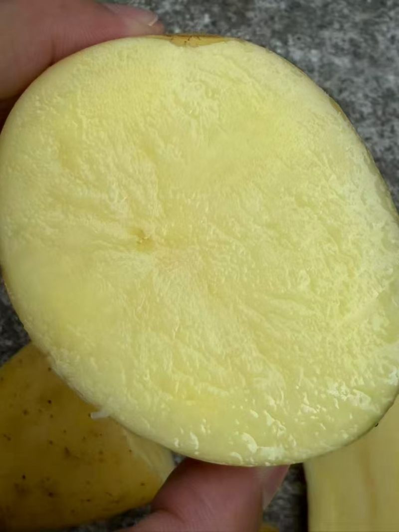 黄皮红心土豆