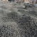 青海黑枸杞大果
