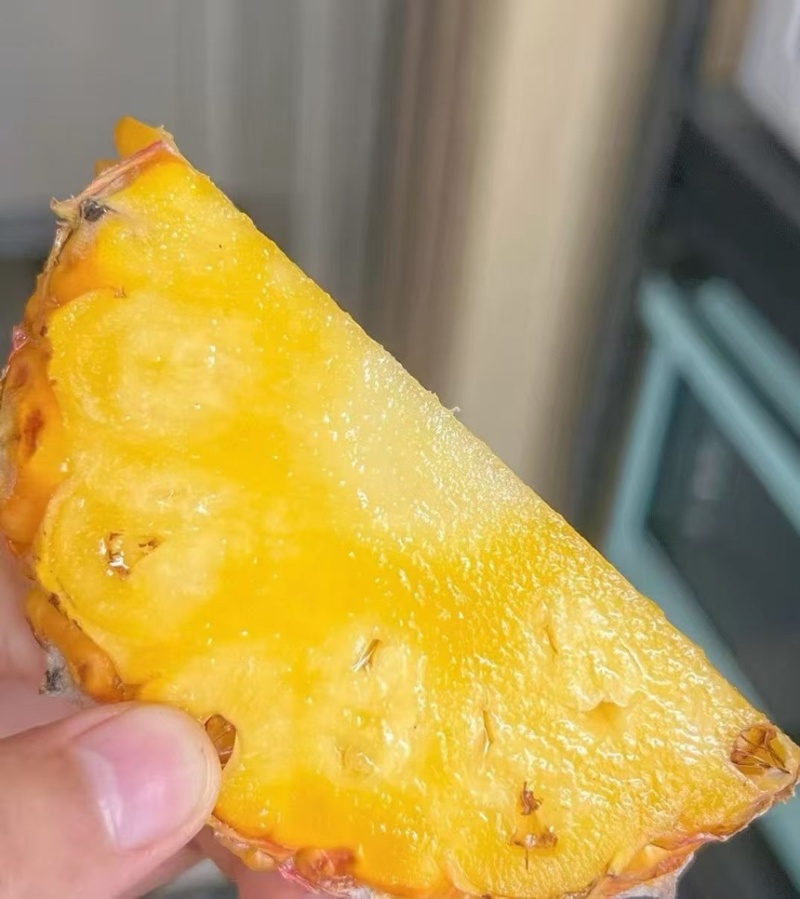 海南芒果凤梨，支持一件代发顺丰