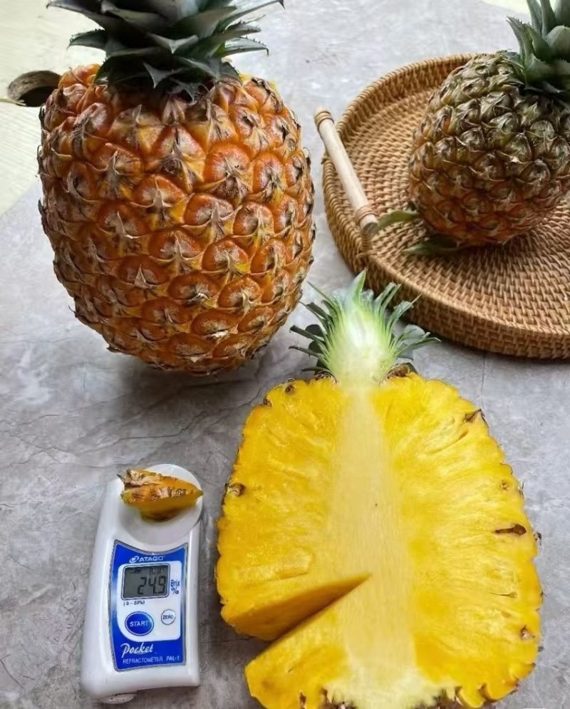 海南芒果凤梨，支持一件代发顺丰