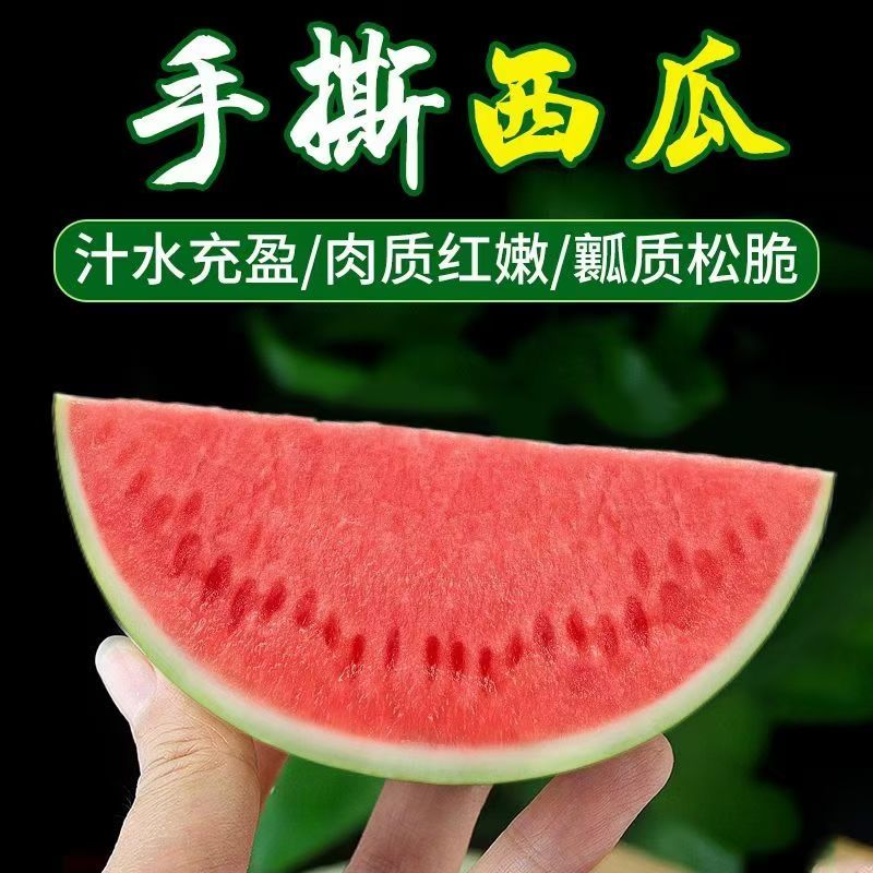 安徽砀山冰淇淋小糖丸西瓜陆续上市，念念果品专业代收代发