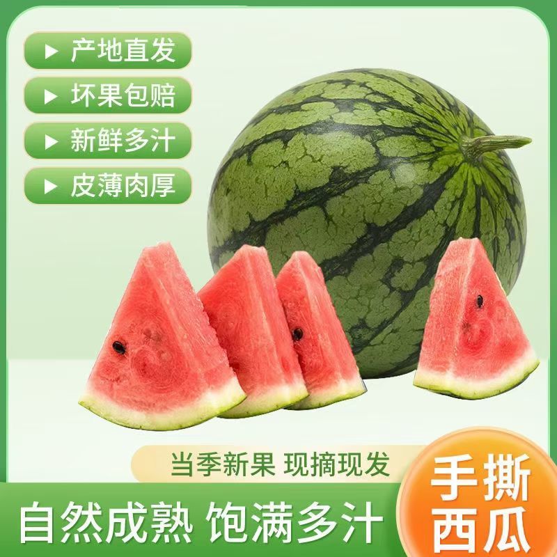 安徽砀山冰淇淋小糖丸西瓜陆续上市，念念果品专业代收代发