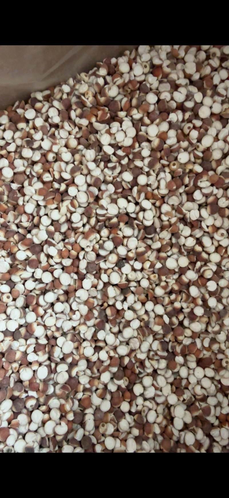 【文斌药业】芡实10厘两开芡实地道药材