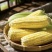 湛江地区甜玉米🌽口感超甜可支持电商市场出口等渠道