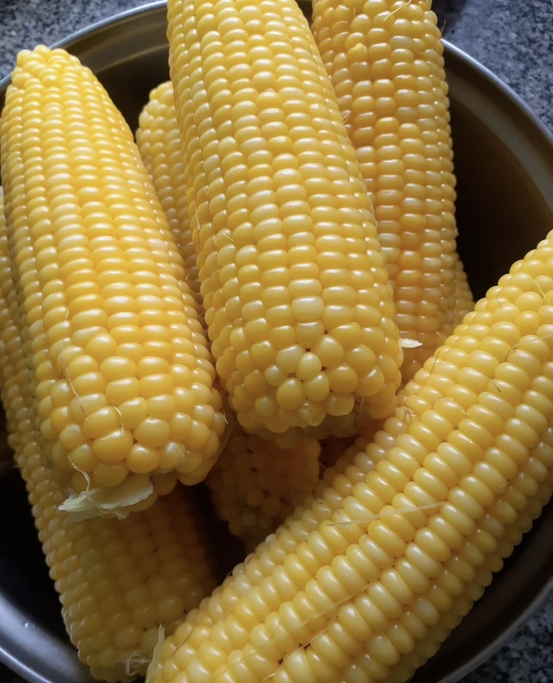 湛江地区甜玉米🌽口感超甜可支持电商市场出口等渠道