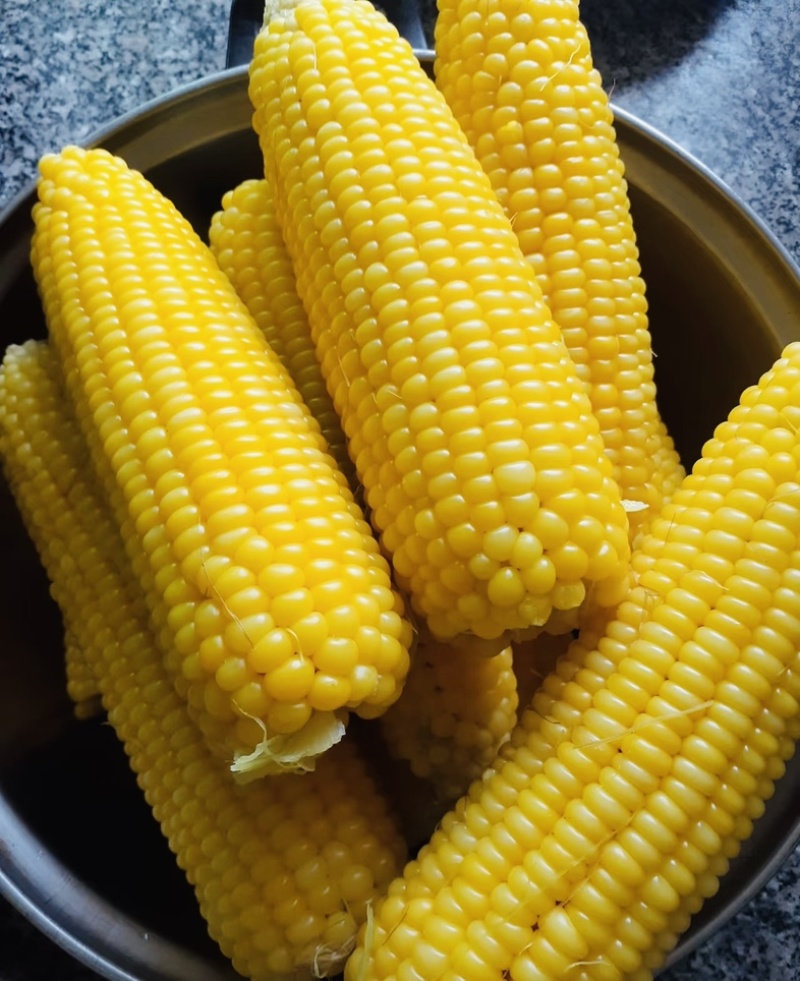 湛江地区甜玉米🌽口感超甜可支持电商市场出口等渠道