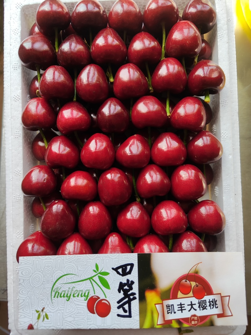 美早樱桃1