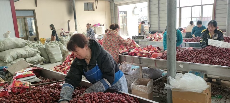 厂家量大价低自动化罐装袋装红枣和田大枣对接电商平台
