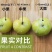 李中贵族贵州镇宁蜂糖李纯甜无酸蜂蜜香气当季